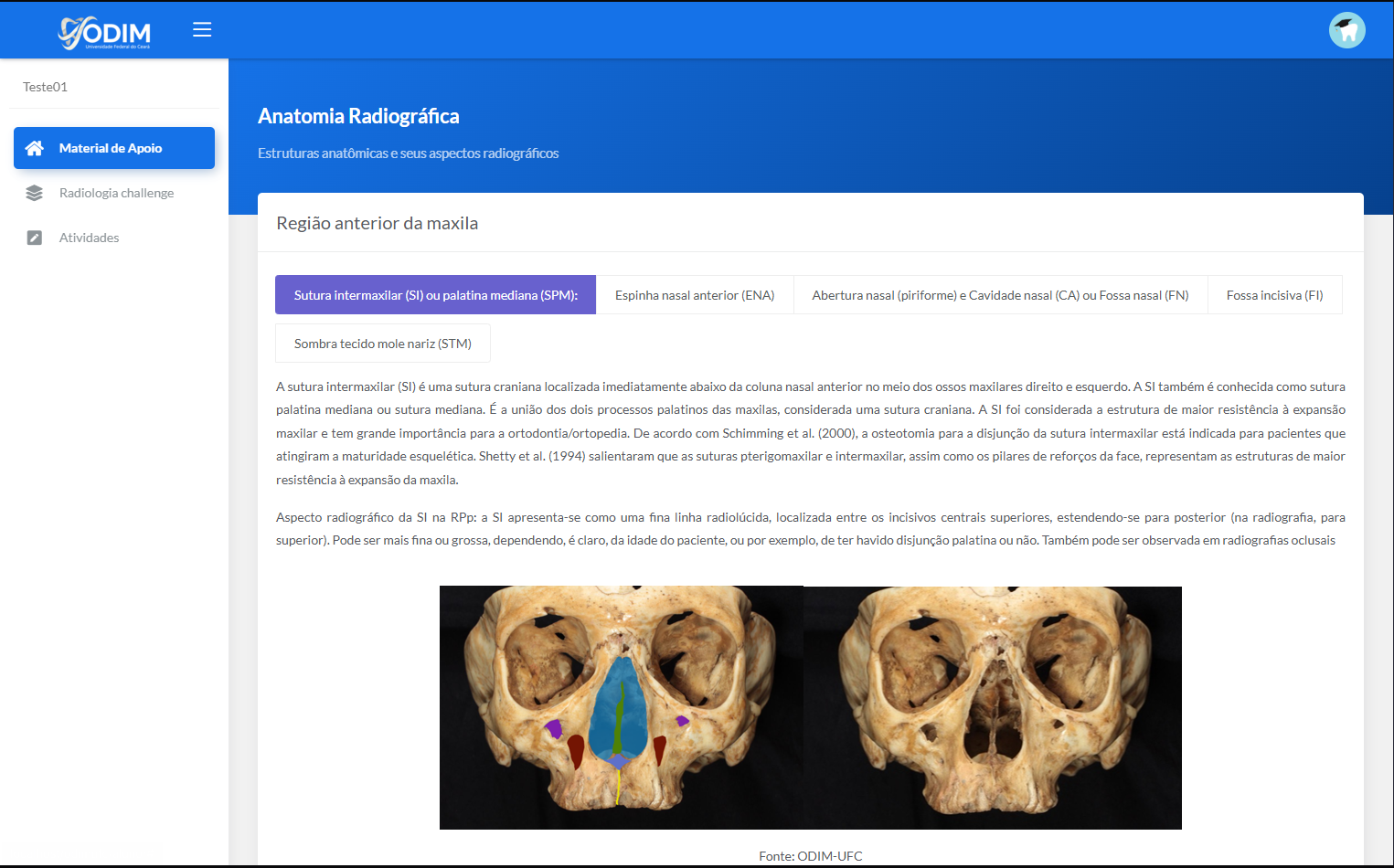 Screenshot do projeto ODIM